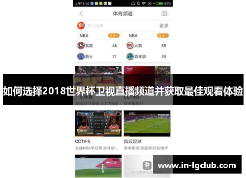 如何选择2018世界杯卫视直播频道并获取最佳观看体验