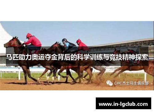 马匹助力奥运夺金背后的科学训练与竞技精神探索