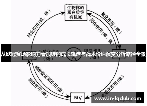 从欧冠赛场影响力看加维的成长轨迹与战术价值演变分析路径全景